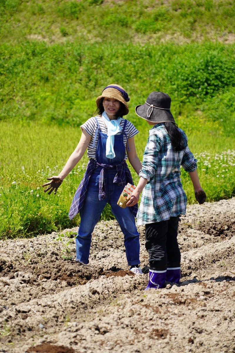 f:id:riinumata:20190511021149j:plain f:id:riinumata:20190511021149j:plain