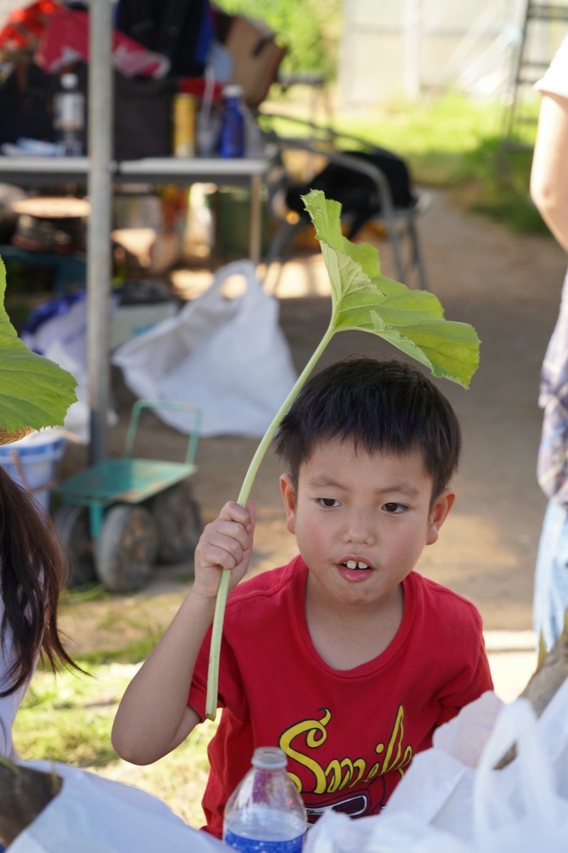 f:id:riinumata:20190511022120j:plain f:id:riinumata:20190511022120j:plain