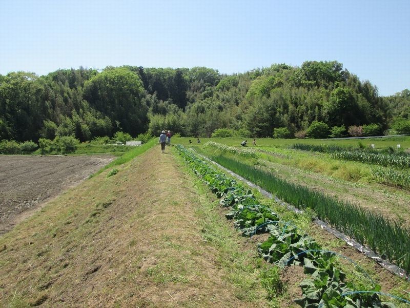 f:id:riinumata:20190511022615j:plain f:id:riinumata:20190511022615j:plain