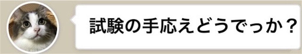 f:id:rijf_m:20250215163303j:image f:id:rijf_m:20250215163303j:image