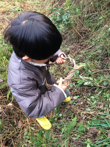 f:id:rika-hongo:20181215212313j:image f:id:rika-hongo:20181215212313j:image