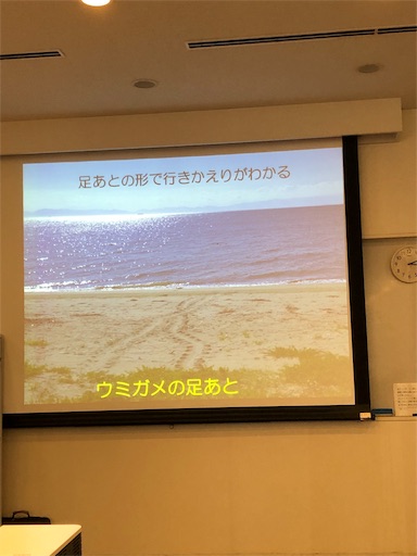 f:id:rika-hongo:20190521082456j:image f:id:rika-hongo:20190521082456j:image