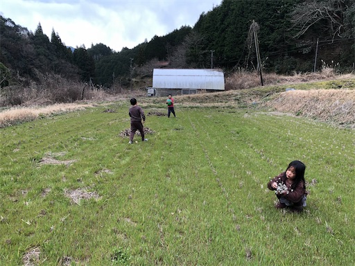 f:id:rika-hongo:20200316145644j:image f:id:rika-hongo:20200316145644j:image