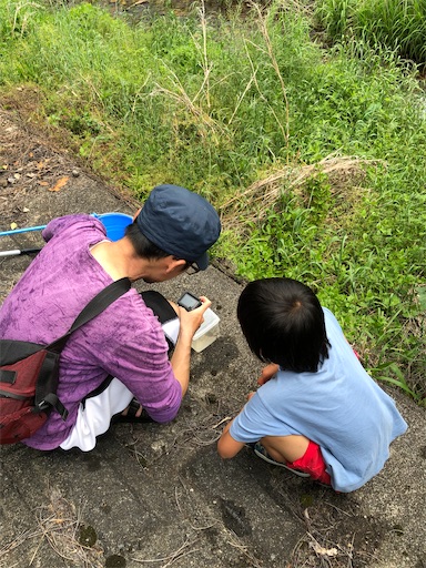 f:id:rika-hongo:20200524194313j:image f:id:rika-hongo:20200524194313j:image