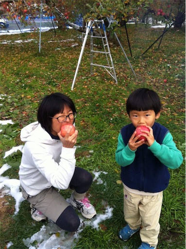 f:id:rika-hongo:20201222180503j:image f:id:rika-hongo:20201222180503j:image