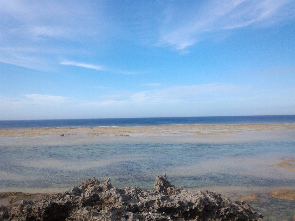 f:id:rika-hongo:20210115084702j:image f:id:rika-hongo:20210115084702j:image