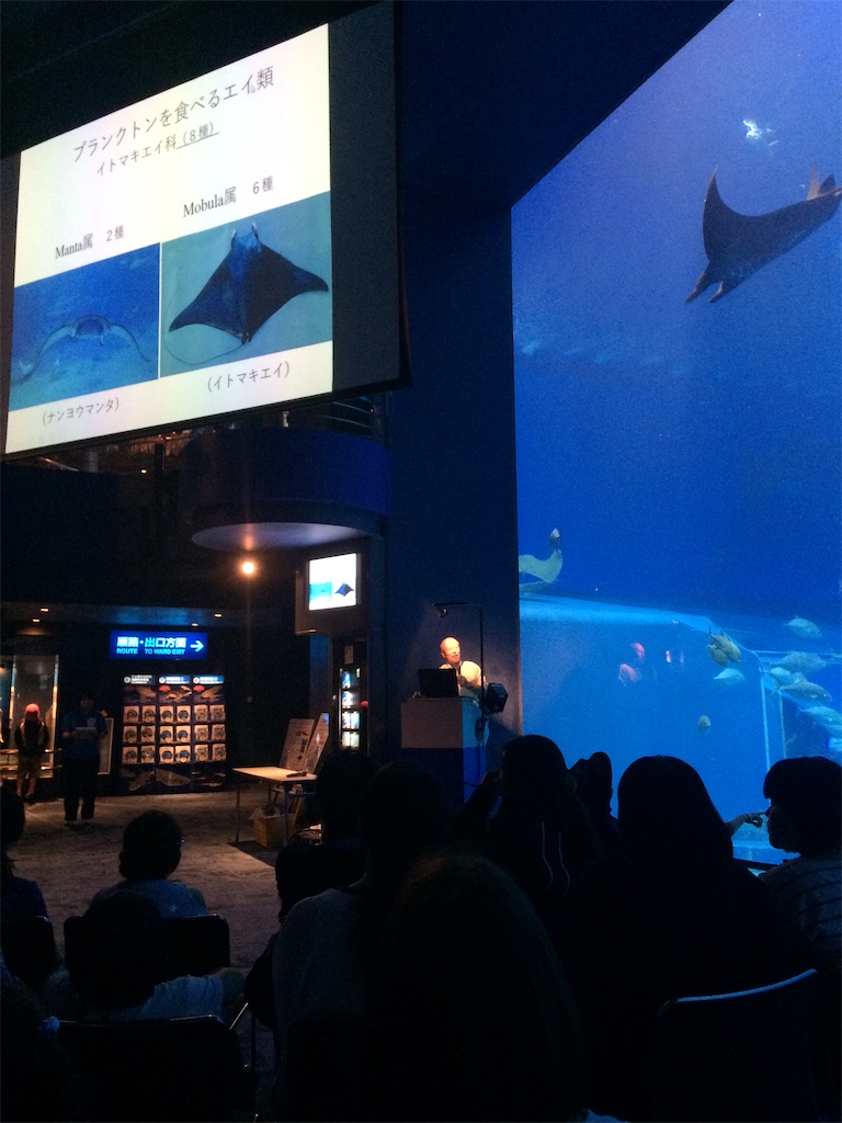 暮らすように旅をする 沖縄18春 ちゅら海水族館 あそびとくらす