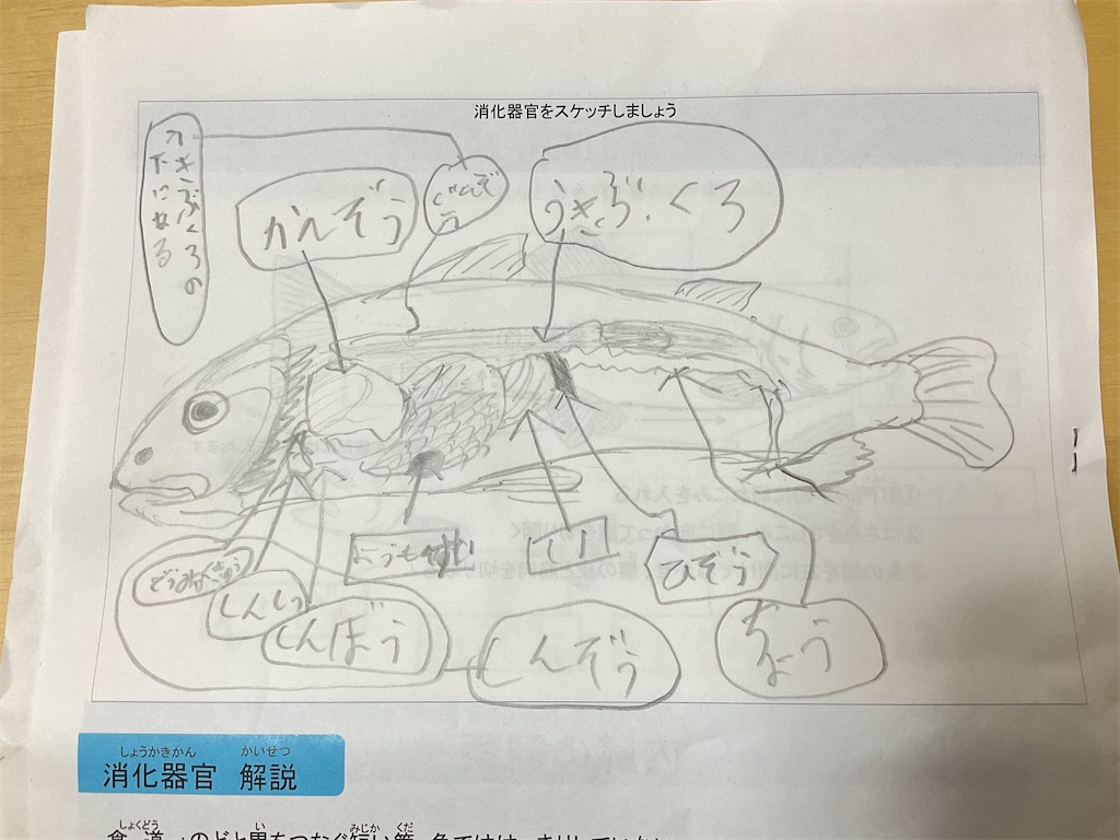 f:id:rika-hongo:20210316133457j:image f:id:rika-hongo:20210316133457j:image