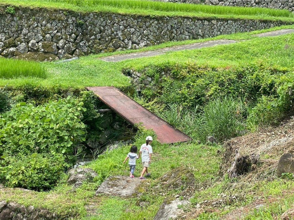 f:id:rika-hongo:20210727200938j:image f:id:rika-hongo:20210727200938j:image