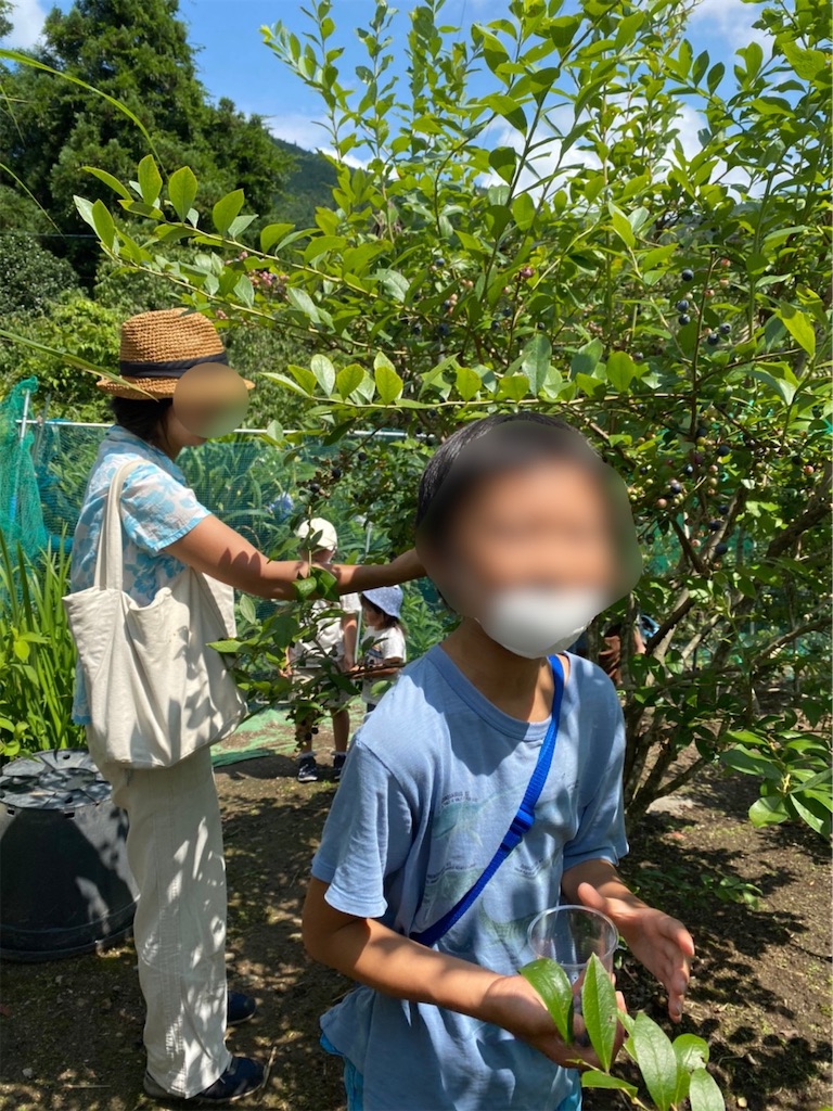 f:id:rika-hongo:20210729135421j:image f:id:rika-hongo:20210729135421j:image