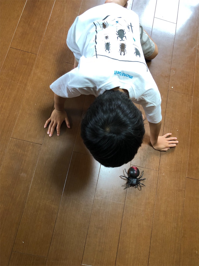f:id:rika-hongo:20210803121644j:image f:id:rika-hongo:20210803121644j:image