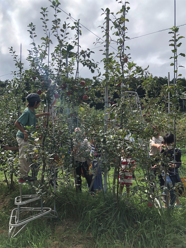 f:id:rika-hongo:20211013064504j:image f:id:rika-hongo:20211013064504j:image