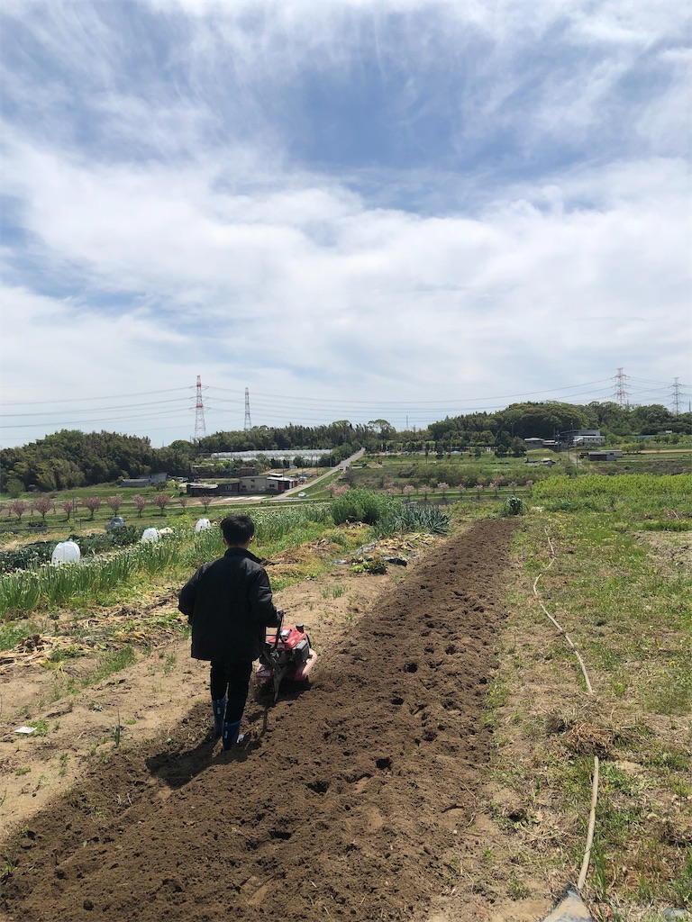 f:id:rika-hongo:20220419171322j:image f:id:rika-hongo:20220419171322j:image