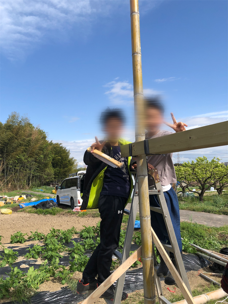 f:id:rika-hongo:20220419171735p:image f:id:rika-hongo:20220419171735p:image