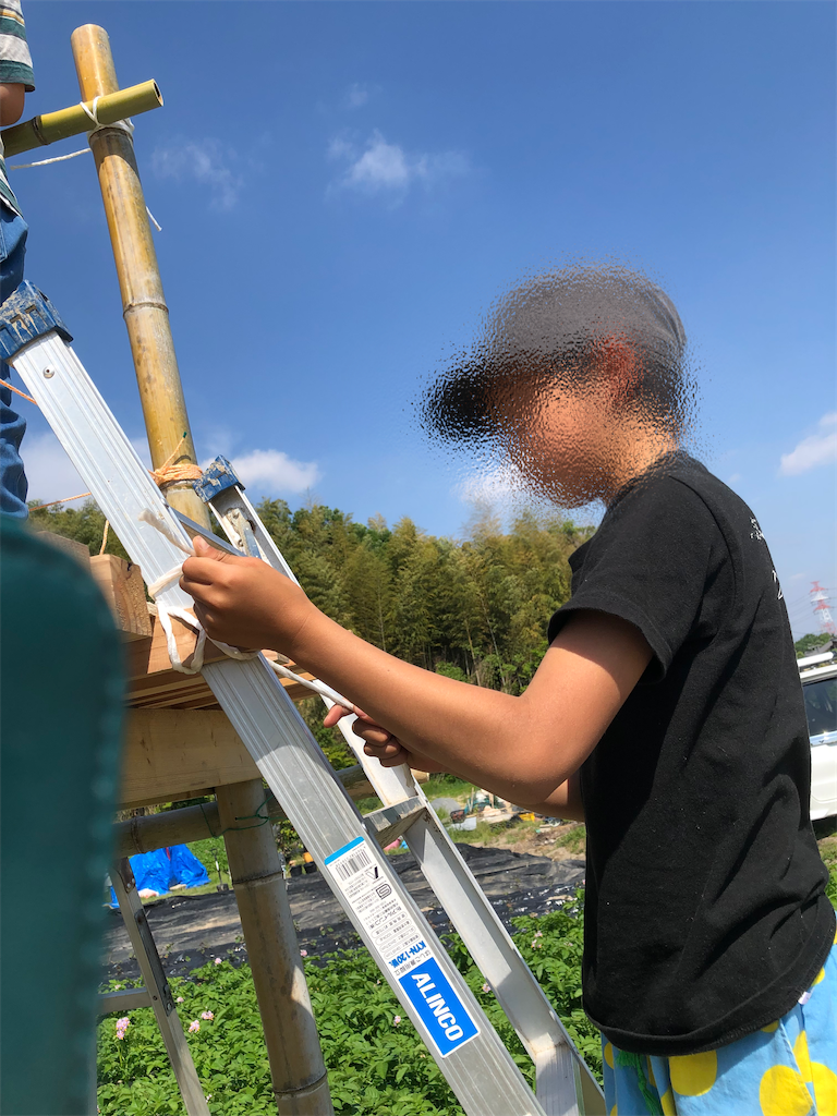f:id:rika-hongo:20220510222955p:image f:id:rika-hongo:20220510222955p:image