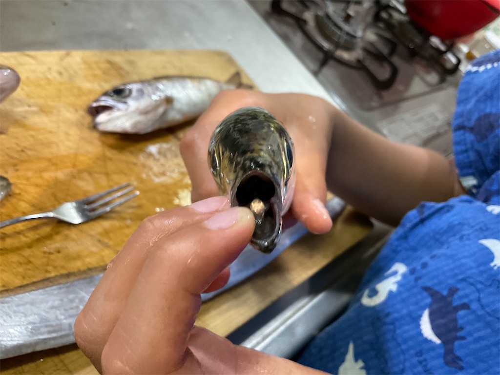 f:id:rika-hongo:20220827134257j:image f:id:rika-hongo:20220827134257j:image
