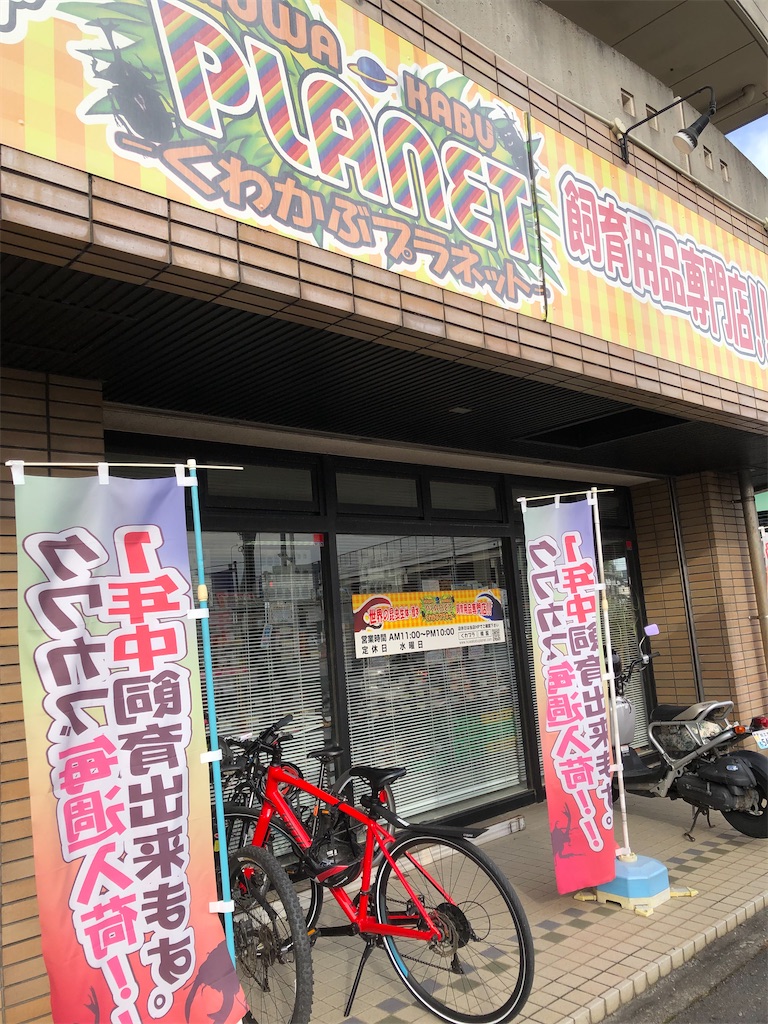f:id:rika-hongo:20221204221454j:image f:id:rika-hongo:20221204221454j:image