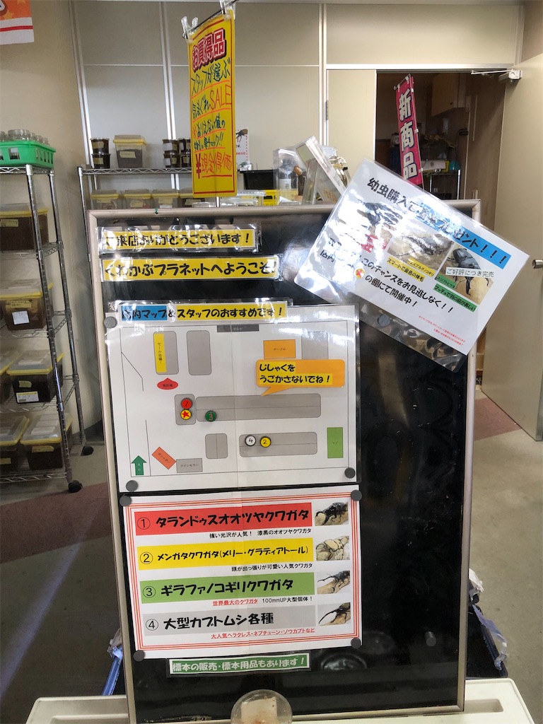f:id:rika-hongo:20221204221457j:image f:id:rika-hongo:20221204221457j:image