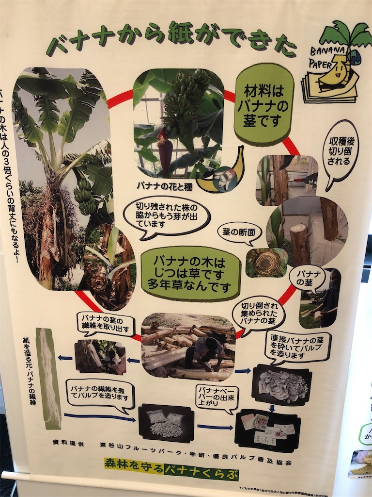 f:id:rika-hongo:20230504080824j:image