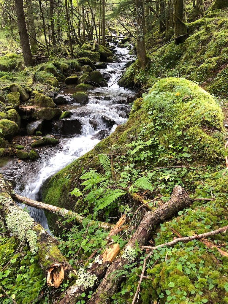 f:id:rika-hongo:20230927173637j:image f:id:rika-hongo:20230927173637j:image