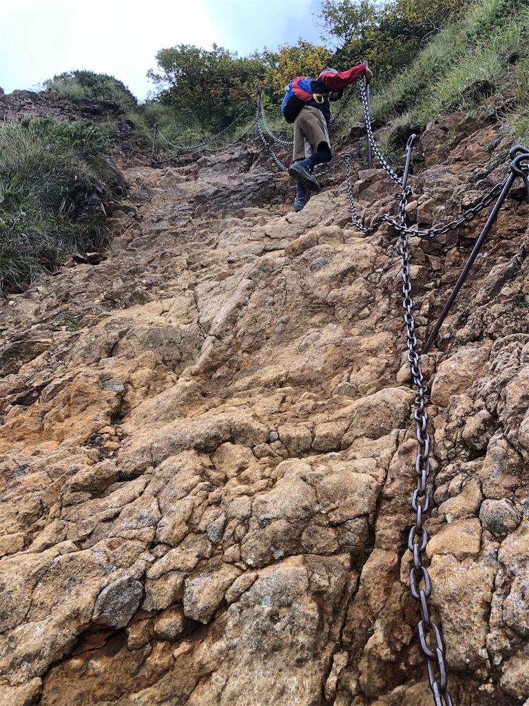 f:id:rika-hongo:20230927175732j:image f:id:rika-hongo:20230927175732j:image