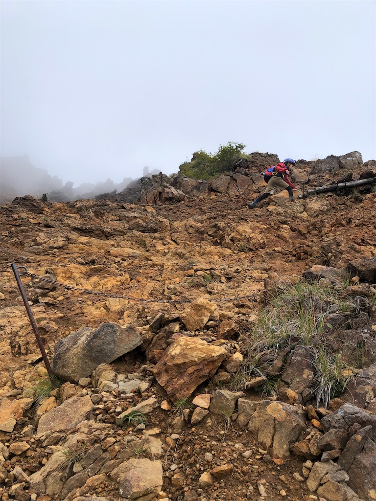 f:id:rika-hongo:20230927175736j:image f:id:rika-hongo:20230927175736j:image