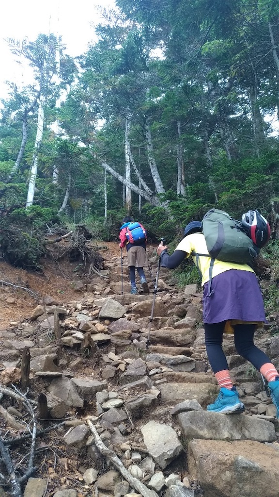 f:id:rika-hongo:20231001082219j:image f:id:rika-hongo:20231001082219j:image