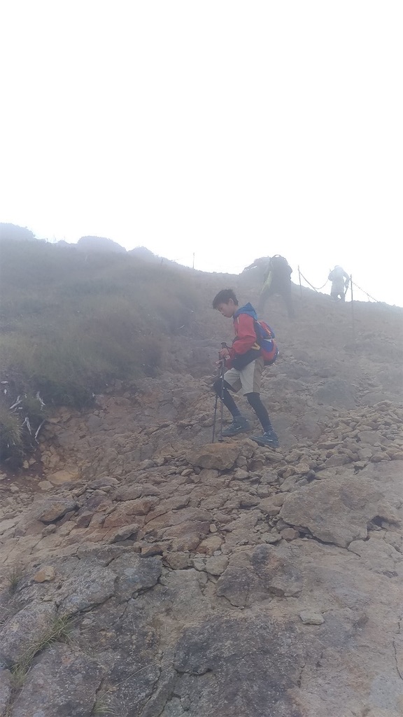 f:id:rika-hongo:20231001091311j:image f:id:rika-hongo:20231001091311j:image