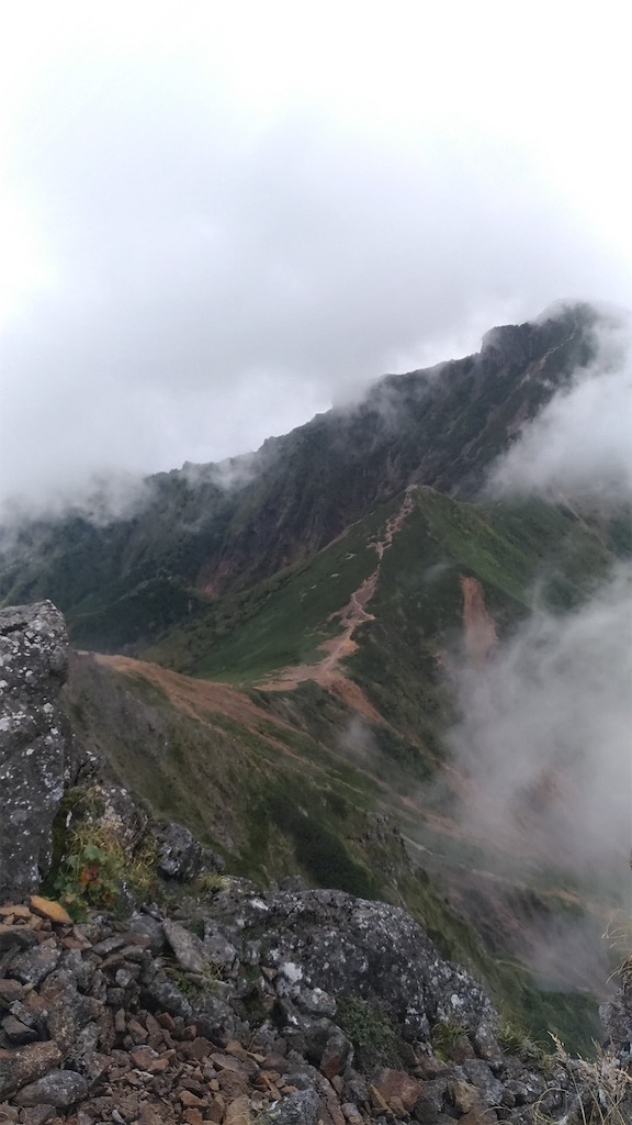 f:id:rika-hongo:20231001091415j:image f:id:rika-hongo:20231001091415j:image