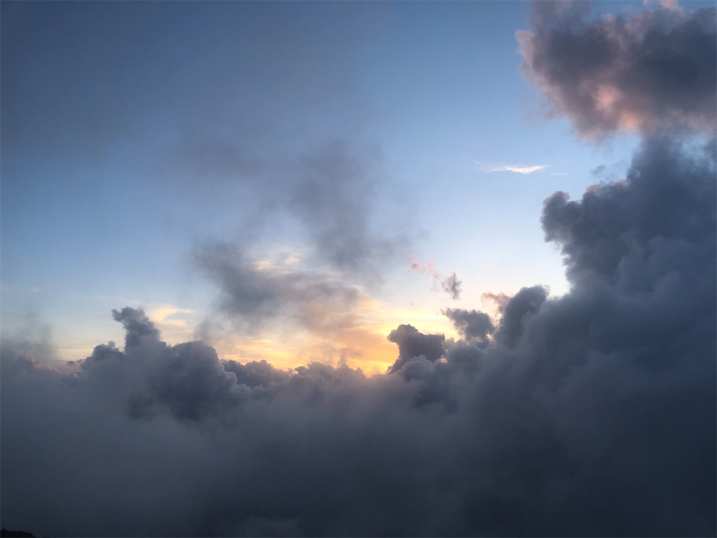 f:id:rika-hongo:20231001092600j:image f:id:rika-hongo:20231001092600j:image