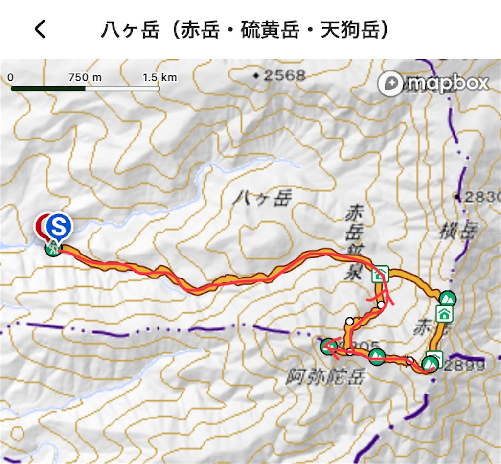 f:id:rika-hongo:20231007004455j:image f:id:rika-hongo:20231007004455j:image