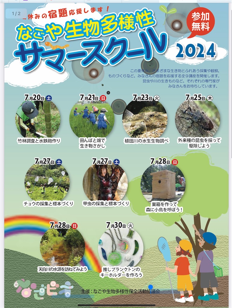 f:id:rika-hongo:20240619093225j:image f:id:rika-hongo:20240619093225j:image