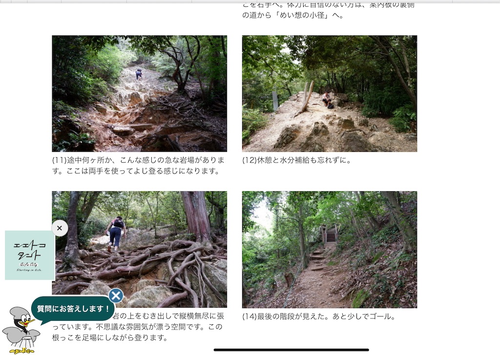 f:id:rika-hongo:20250215211407j:image f:id:rika-hongo:20250215211407j:image