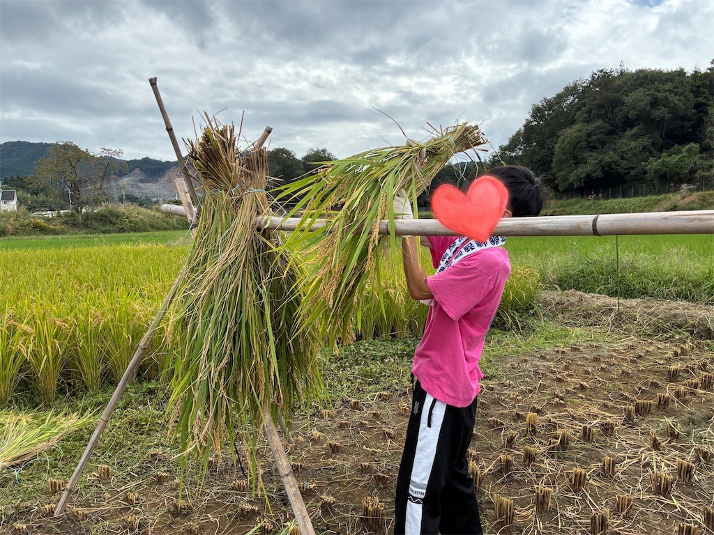 f:id:rika-hongo:20251013103518j:image