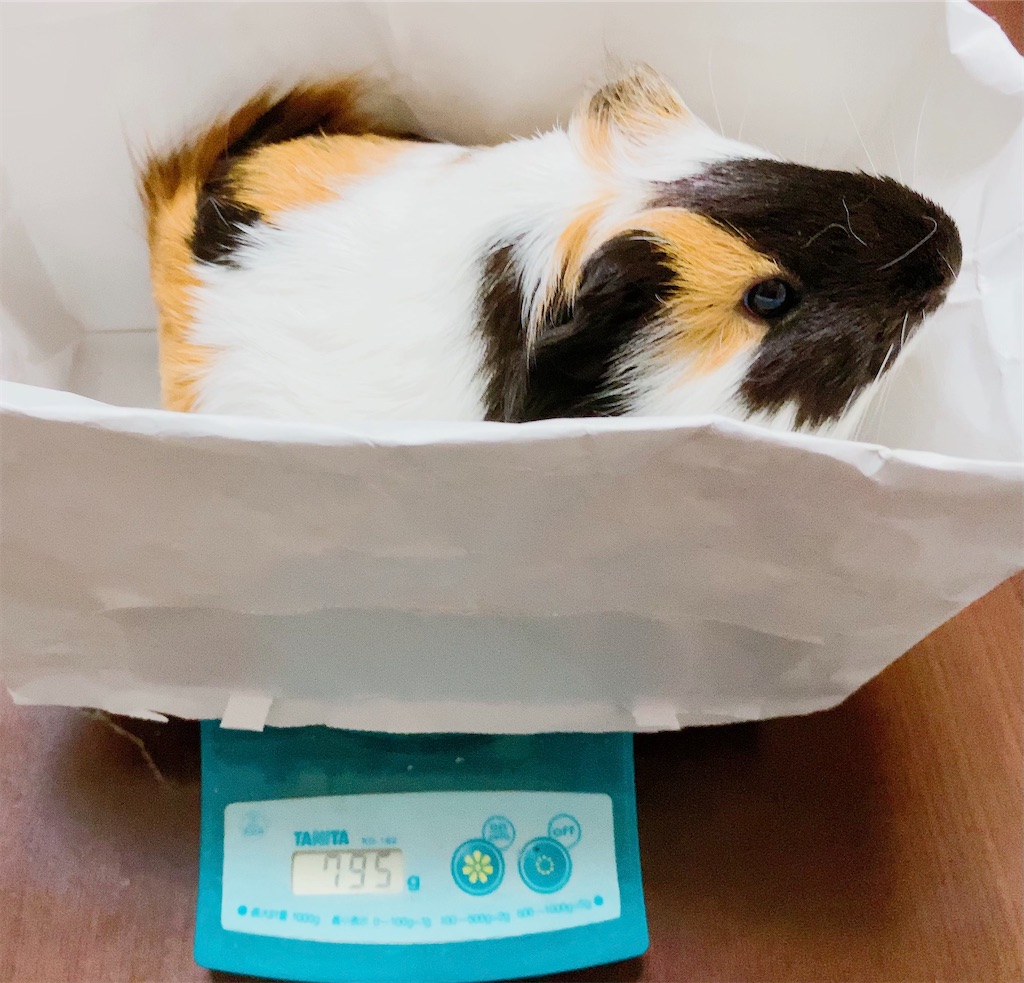 f:id:rika0401joy:20210624111834j:image f:id:rika0401joy:20210624111834j:image