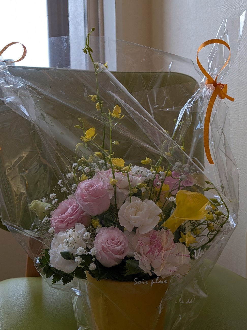 f:id:rika76:20260901070414j:image f:id:rika76:20260901070414j:image