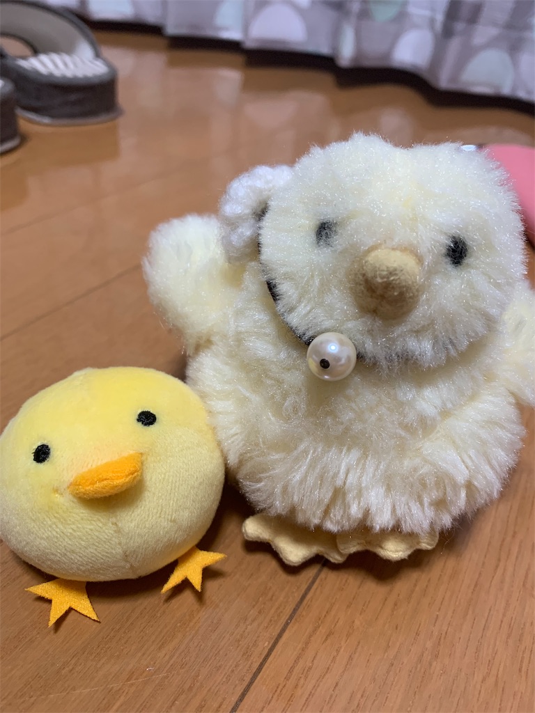f:id:rikakomerin:20191110001220j:image f:id:rikakomerin:20191110001220j:image