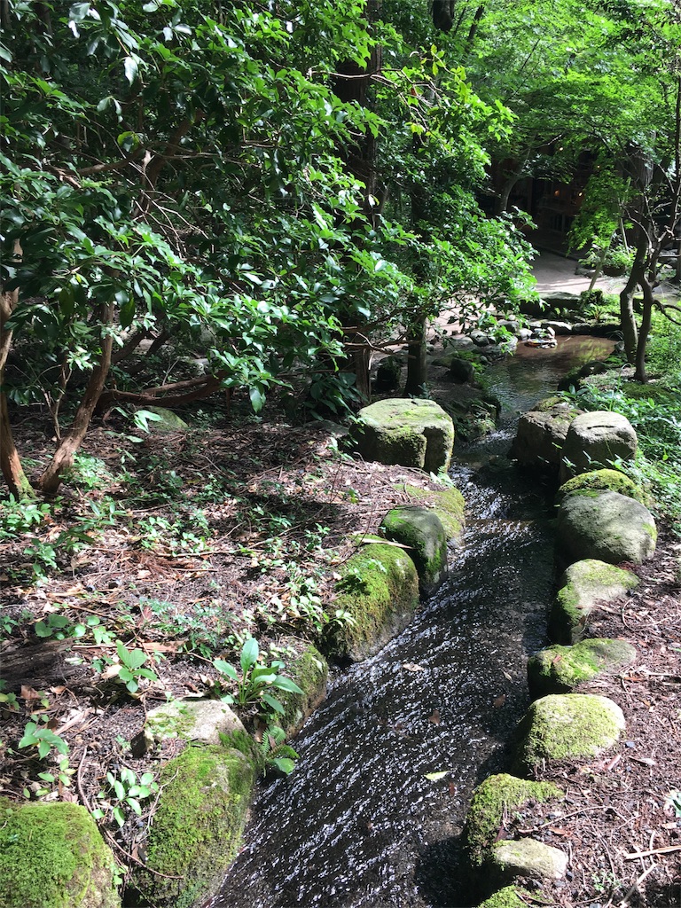 f:id:rikasasakino:20180625155306j:image