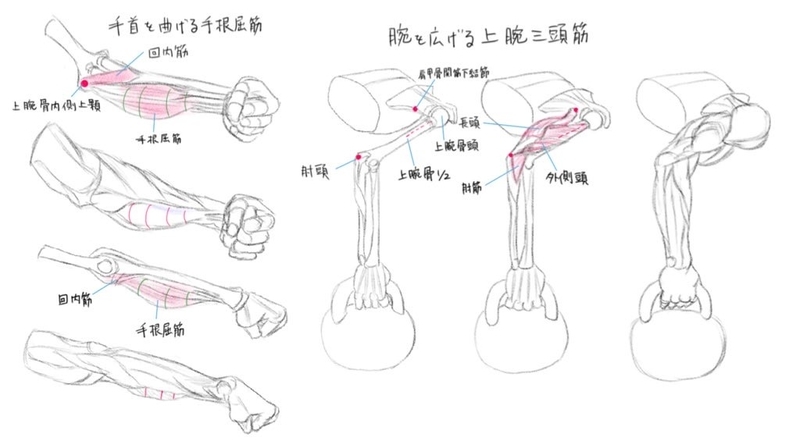 キム・ラッキの人体ドローイング』模写その4 - やっぱり絵が描きたい