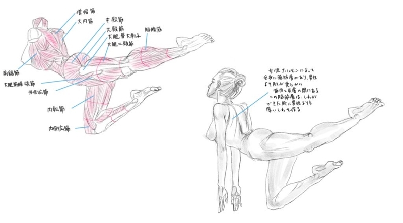 f:id:rikatyuo:20210403153806j:plain