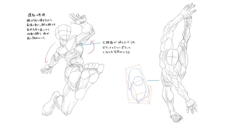 f:id:rikatyuo:20210609071139j:plain