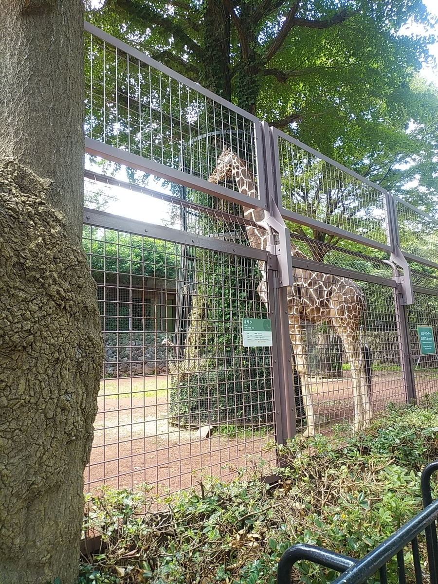 f:id:rikeidanshi10:20200815151423j:plain