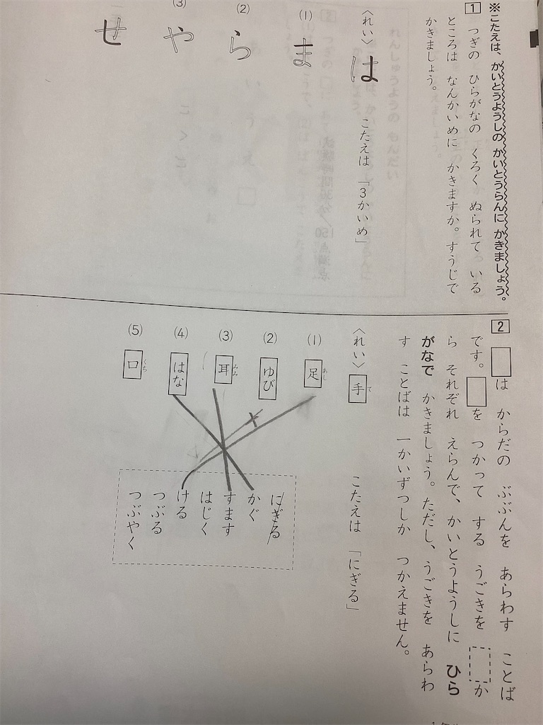 f:id:rikejomama:20240701113642j:image