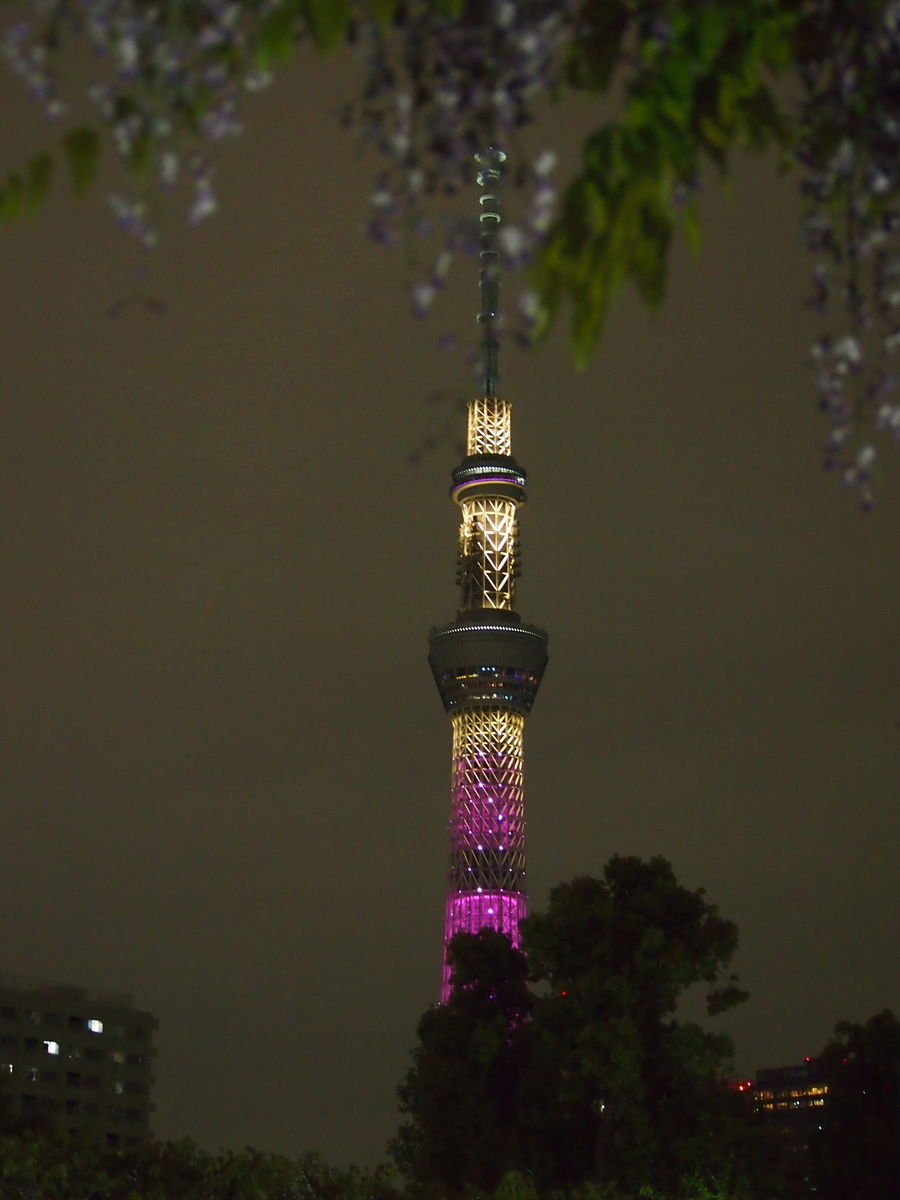 f:id:rikezyosan:20190502005123j:plain f:id:rikezyosan:20190502005123j:plain