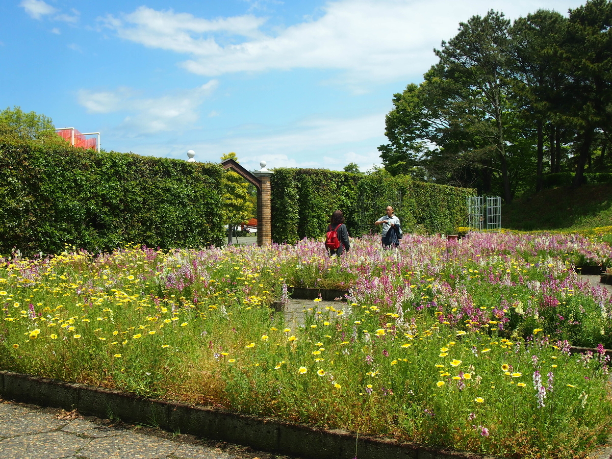 f:id:rikezyosan:20200224190244j:plain