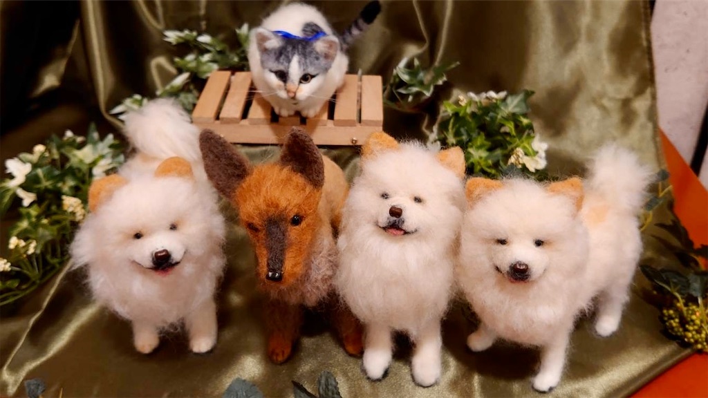 f:id:rikimarukun:20220220114744j:image f:id:rikimarukun:20220220114744j:image