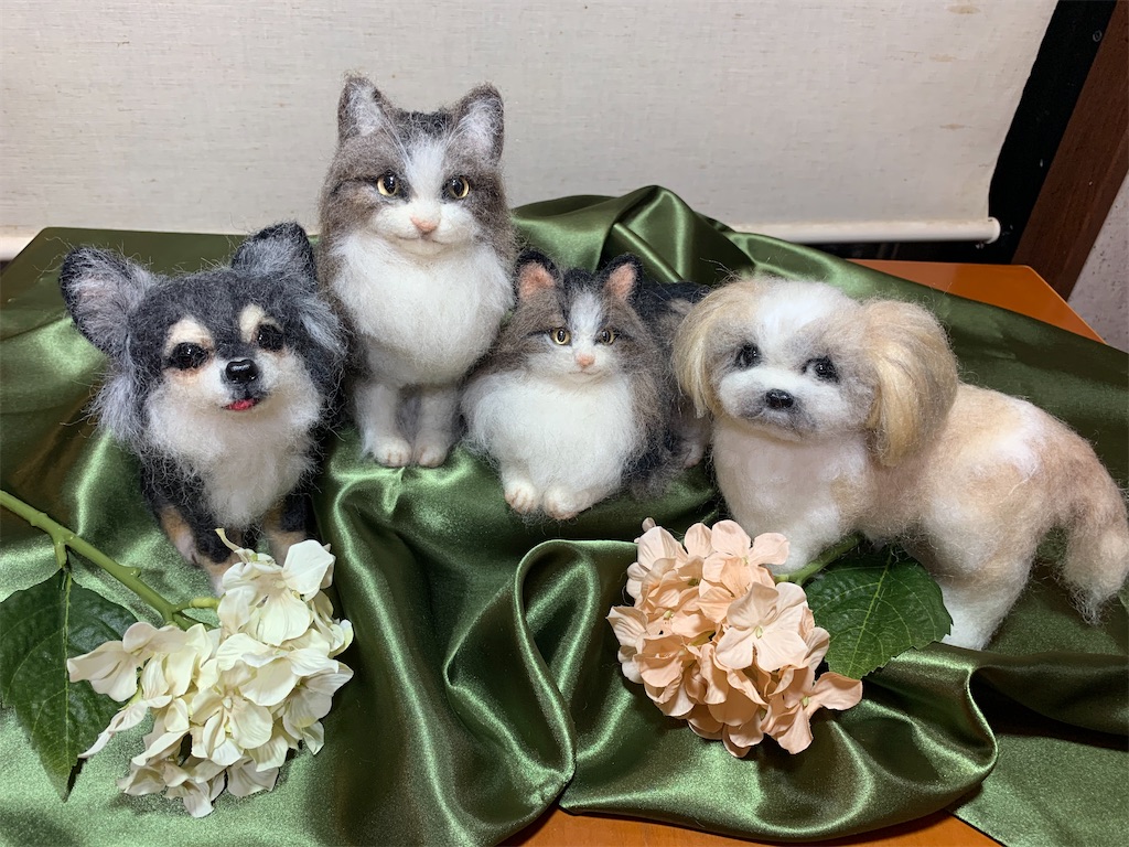 f:id:rikimarukun:20220220153148j:image