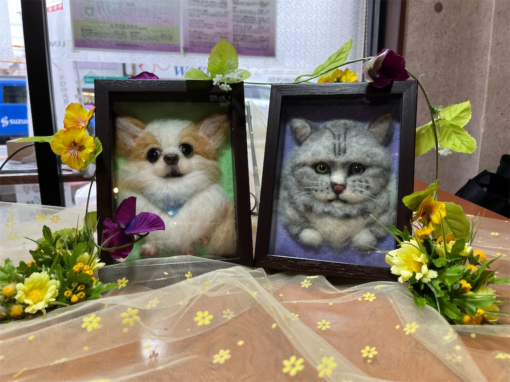 f:id:rikimarukun:20230409123521j:image