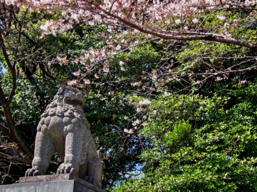 f:id:rikipoco:20110405141201j:image