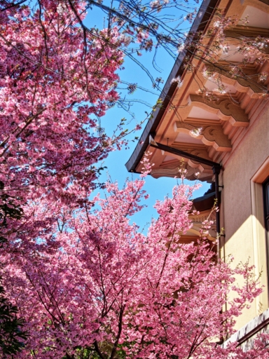 f:id:rikipoco:20110405141215j:image